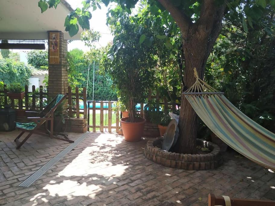 Dormir Entre Limones, Casa De Invitados En Vivienda Familiar Dos Hermanas Exterior foto